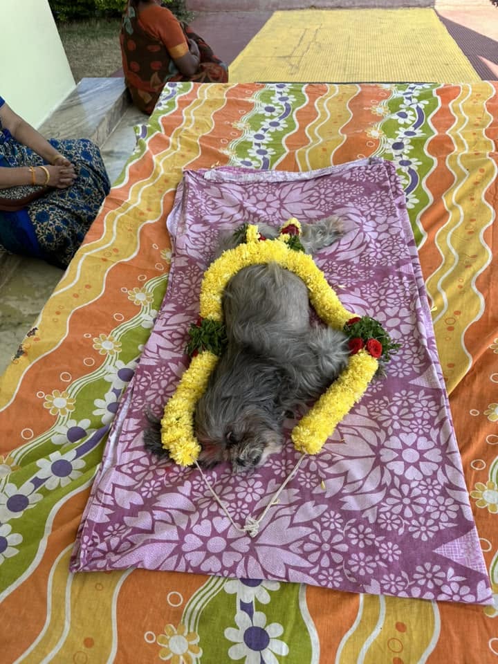 Oh So Sad to Hear Amarnath Vasireddy Garu, I know How much Anyone will be attached to their Pet.
