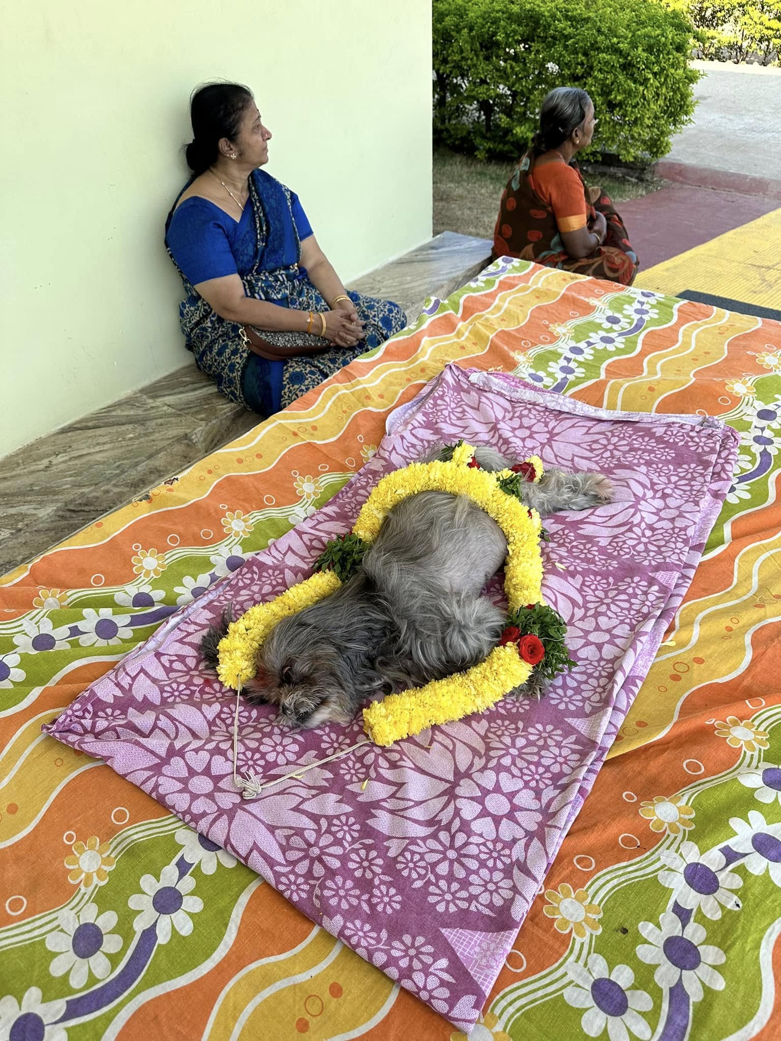 Oh So Sad to Hear Amarnath Vasireddy Garu, I know How much Anyone will be attached to their Pet.