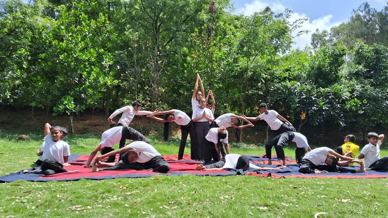 Todays field trip. Yoga. Debates. Games.