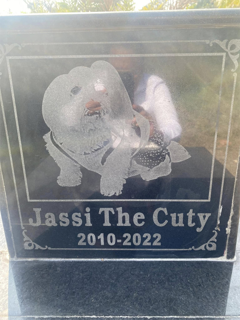 Jassi the cuty