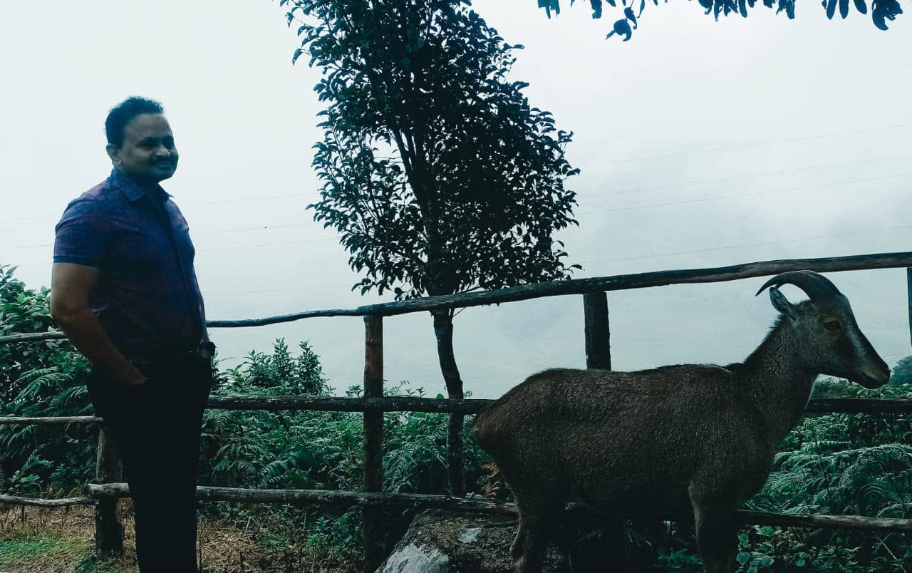 With the Nilgiri Thar (Nilgiri hill goat)