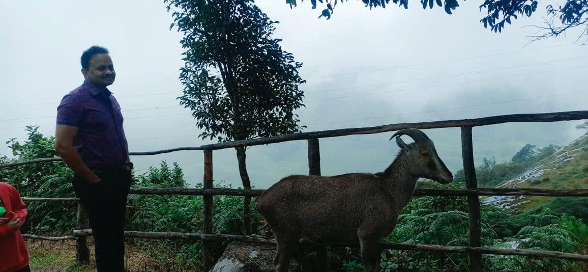 With the Nilgiri Thar (Nilgiri hill goat)