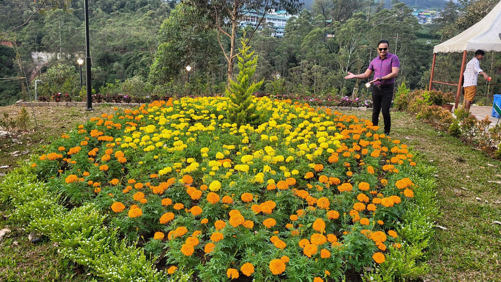 Botanical garden, Munnar.